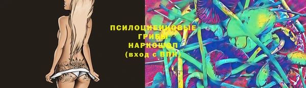 хмурый Бронницы