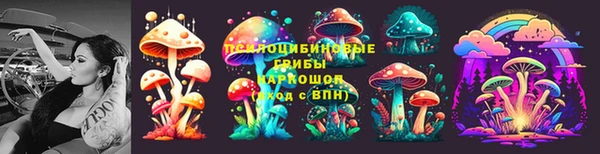 хмурый Бронницы