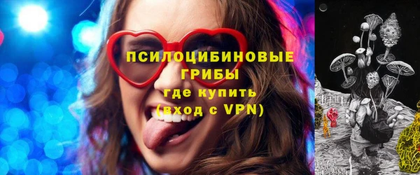 Альфа ПВП Бугульма
