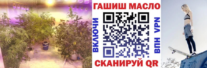 Дистиллят ТГК THC oil  где продают   Грозный 